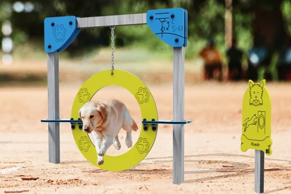 Mini-Gimnasio-Card.webp
