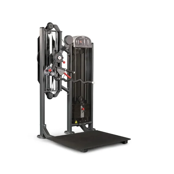 Brazos Totales DE PIE 100Kg - Panata, Línea Profesional para trabajar bíceps - Power Fitness Pro