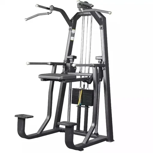 Dominadas Asistidas 100 KG - Pro2, Línea Profesional para trabajar espalda - Power Fitness Pro