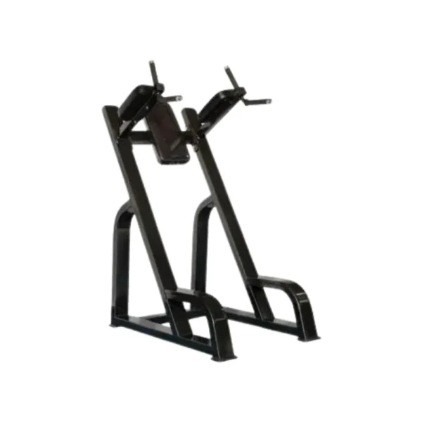 Fondos Y Elevación DE Piernas - Pro2, Línea Profesional para trabajar pecho - Power Fitness Pro