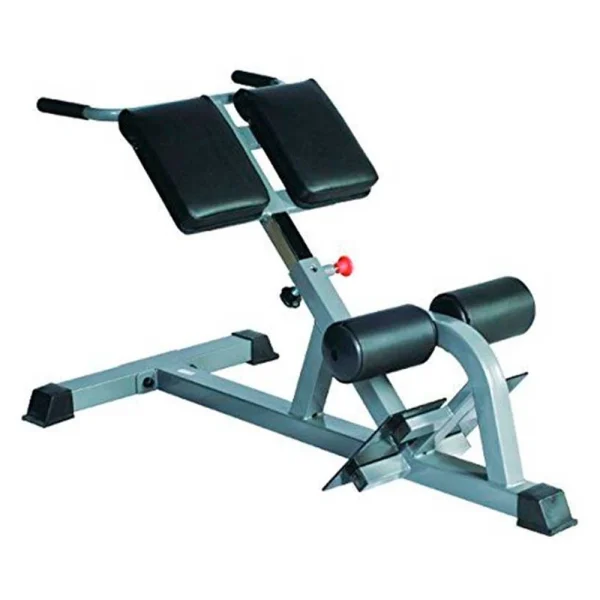 Silla Romana Hiperextensiones Espalda Baja - Línea Hogar, Mini Gimnasio - Power Fitness Pro